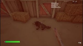 I Found A Tiny Wolf In Fortnite Creative