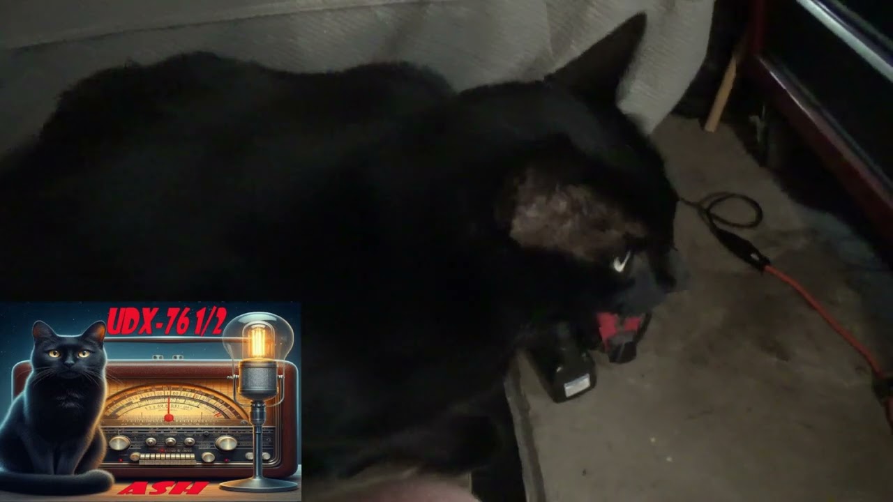 UDX 76 1/2 My CB radio buddy.