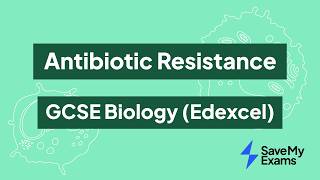 Antibiotic Resistance: GCSE Biology (Edexcel)