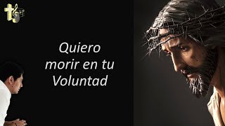 Video thumbnail of "Quiero morir en tu Voluntad (Letra)  // Voces de Cielo  // Canta: Jaime Ortega"