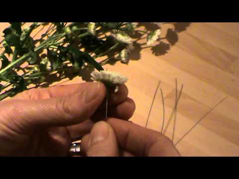 DIY Wedding Flowers - How to wire and tape flowers and foliage by  Campbell's Flowers 