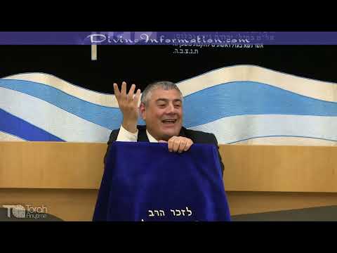 לילה בלתי נשכח בצהלה ת''א הבלבול הנורא שירד לעולמנו
