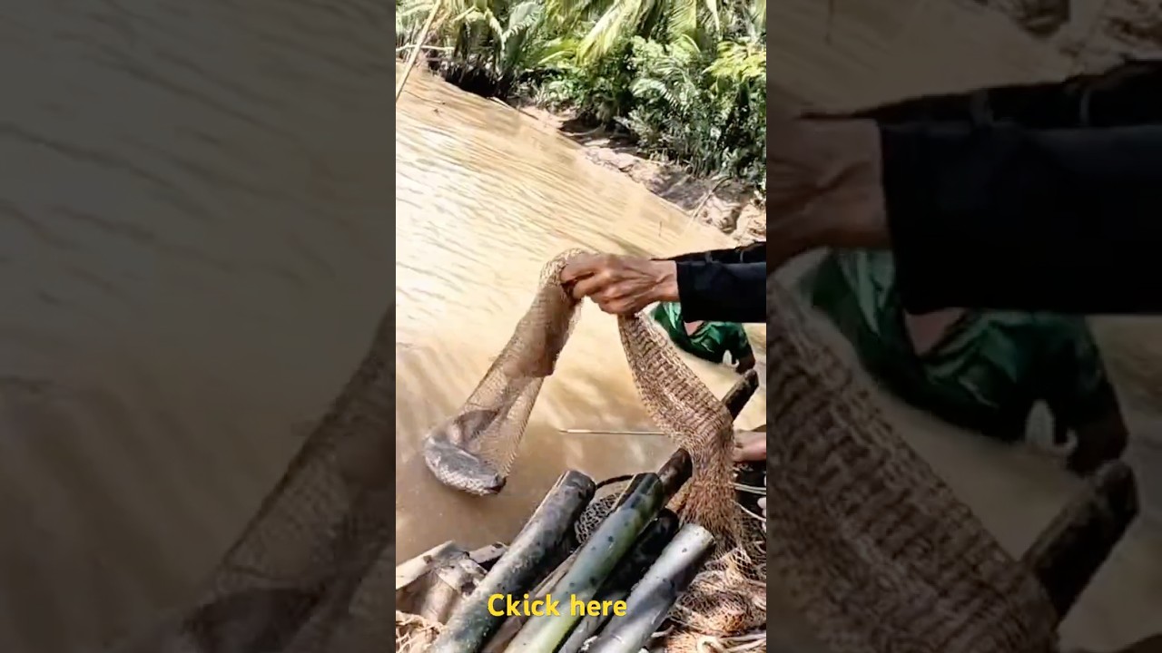 fishing on the river. @tamquocthinh2025