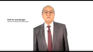 Tavuk Eti Üretiminde Doğru Hayvan Refahı Uygulamarı Şkına