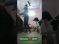 Devender Bisht #viral #doggielife #viralmusic #funny #bollywoodcoversongs #viralsong