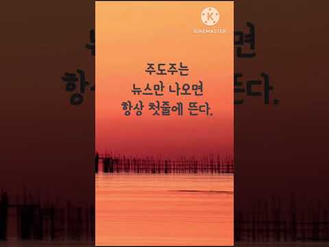 주도주 파악하기