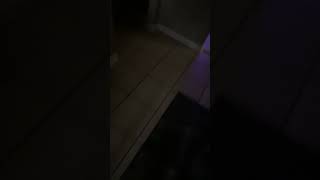 Trying To Outsmart Nova Lol