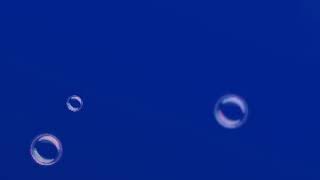 Opening Ranma 12 Male Cover