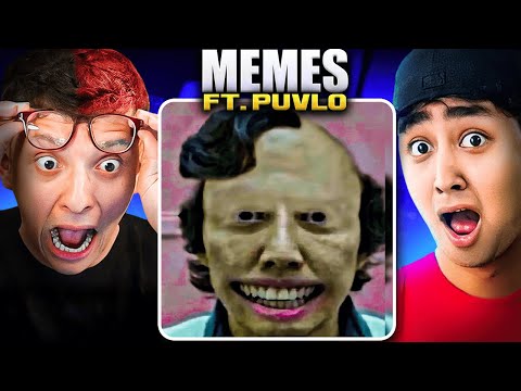 MEMES WITH PUVLO