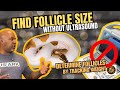 Breeding Ball Pythons Without Ultrasound: The Weight Method