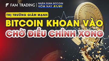 Giá Bitcoin hôm nay và thị trường Crypto ngày 31/1/2023 | FAM TRADING