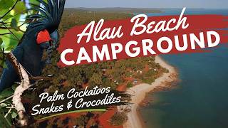 More than just The Tip - Beaches, Endangered Birds, Wild Animals