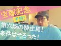 【閃き特注馬！】サートｳルナーリア本命も…意外なあの馬を強行指名します！