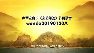 卢台长【玄艺问答】190120A 心灵法门