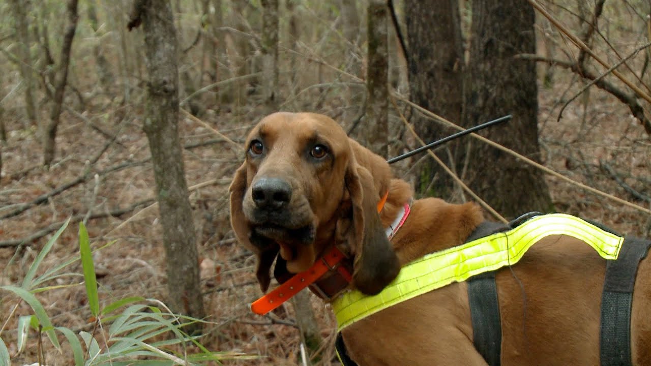 Manhunt 2 Behind The Scenes South Carolina YouTube