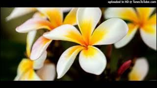 Sir Cara - Intyantyambo yeLizwe