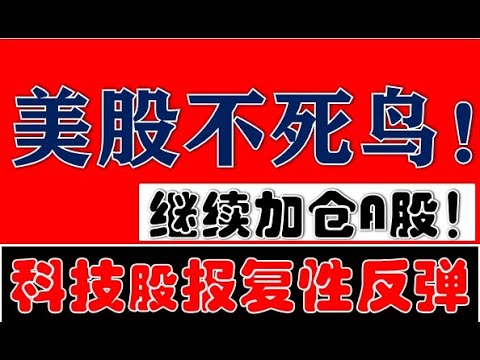 美股不死鸟！我们今天继续加仓A股！科技股报复性反弹！（2024.3.28股市分析）