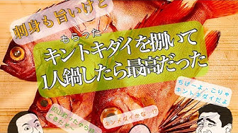 キントキダイ Youtube