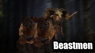 Everything about Beastmen in just 1.5 minute