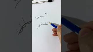 تعليم رسم الرموش للمبتدئين