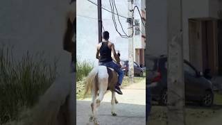 horse boy #youtubeshorts #newreel #buffalocheck #mybaby #horse #india #rider #viral #officalvideo