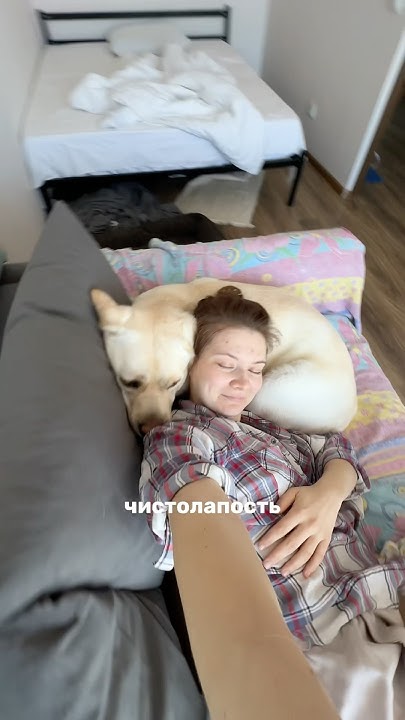 🥹 Пенка для мытья лап 248237380 #уходзасобакой #шампуньдлясобак #лабрик ...