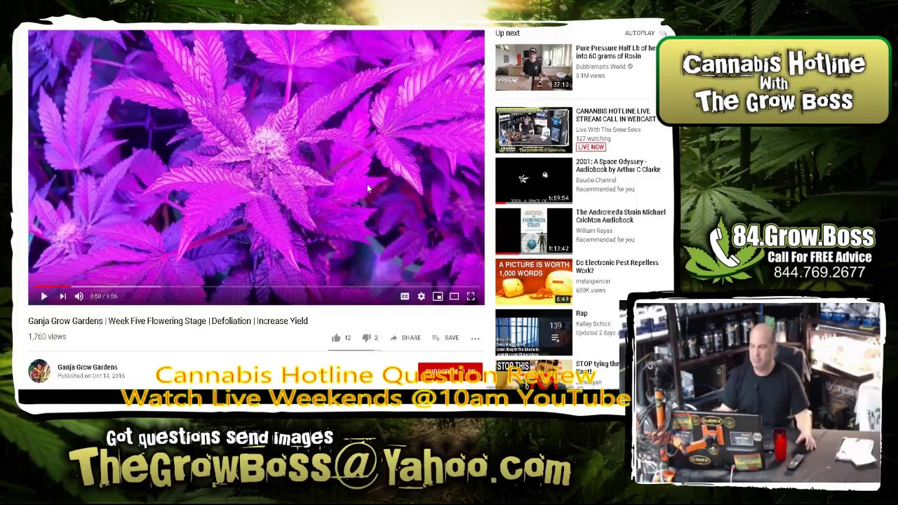 CANNABIS HOTLINE QUESTION   GANJA GROW VIDEO REVIEW   WATCH LIVE WEEKENDS @10AM   GROW BOSS