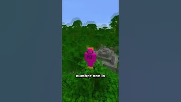 the best minecraft block ever