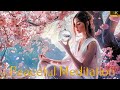 Cherry blossom healing secret celestial music for body spirit  soul  4k