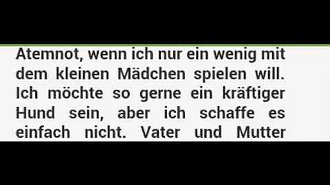 Traurige Hunde Geschichten