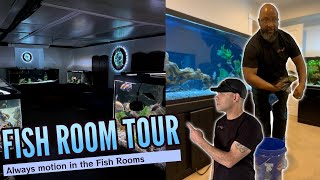 Fish Room Tour...All of Our Aquariums