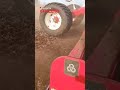 Posventa Chalero en puesta en marcha de acondicionador Cultimax 7000 con rolo picador en lote soja