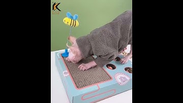 2-in-1 play mouse and cat interactive toy cat scratching board