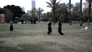 Kung Fu Videos: 5 Animals Form (Pair) | סרטי קונג פו: טאו 5 חיות בזוג