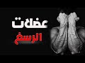 أقوى 5 تمارين الرسغ Wrist Strength 