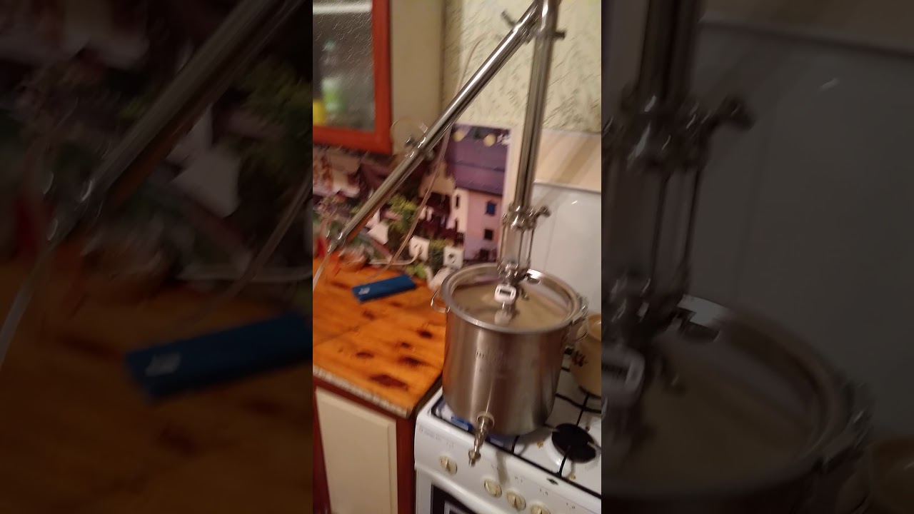 Купить Вейн Реформ Про
