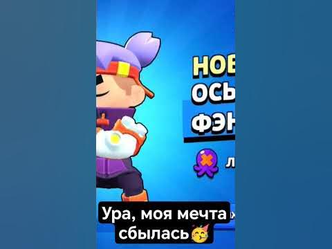 осьминог Фенг))) - YouTube