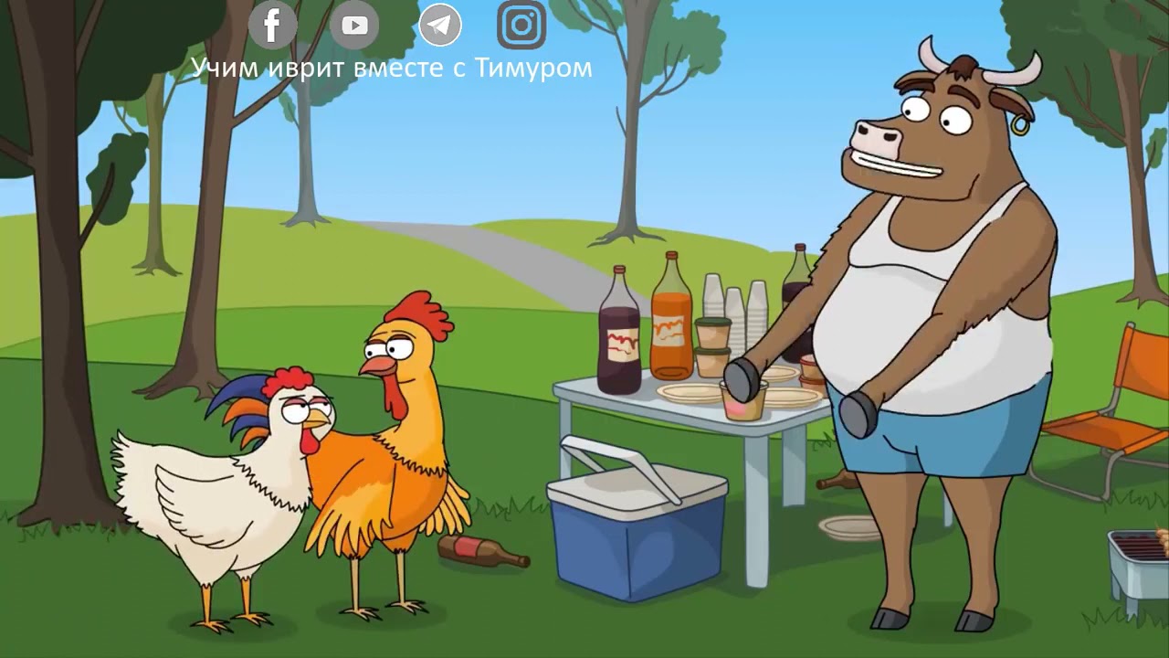 Нир и Гали - На шашлыках (Перевод и разбор ролика)