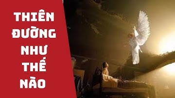 Thiên Đường Như Thế Nào? Tiết Lộ Từ Những Người Trở Về Từ Cõi Chết