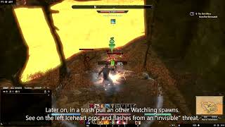 Invisible Watchling: bug ESO patch 9.1.5