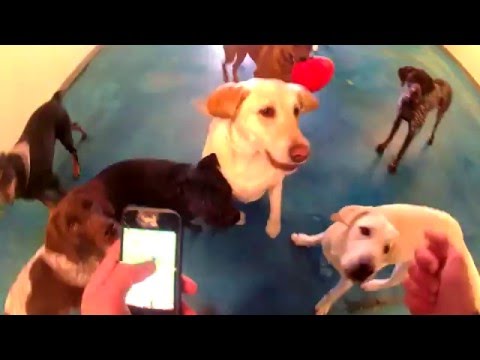 Classical Conditioning with Tim Culver