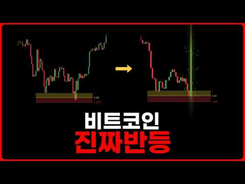 비트코인, 모두가 의심할 때 더 올라갑니다