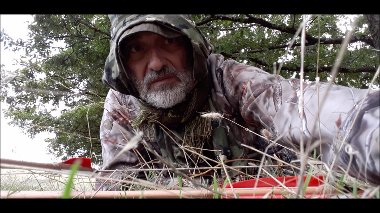 CACCIA CON L ARCO AL MUFLONE Exploring Bow Hunt YouTube