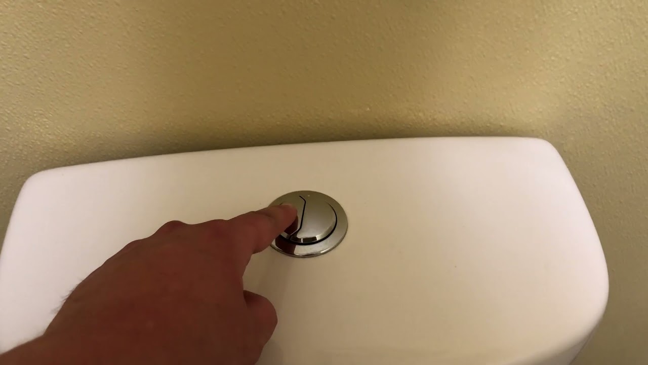 Junky Dolphin Plumbing Auckland Toilet YouTube