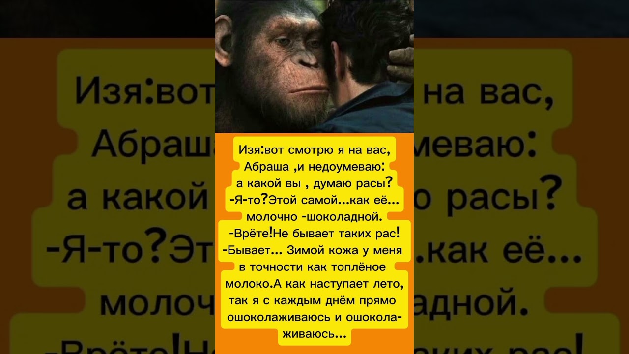 Раса Абраши 😅 