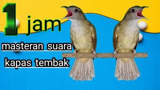 Download Lagu 1 JAM MASTERAN SUARA KAPAS TEMBAK MP3