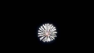 4 4703 Silver wave to crackling with pistil