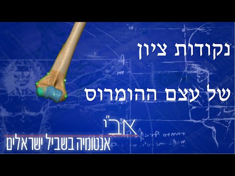 וִידֵאוֹ: האם היה ביטוי עצם?