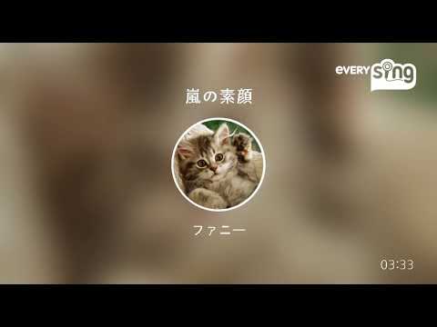 [everysing] 嵐の素顔