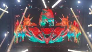 Excision visuals